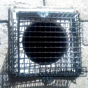 mouse exclusion and prevention etobicoke