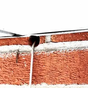 mouse inspection Etobicoke